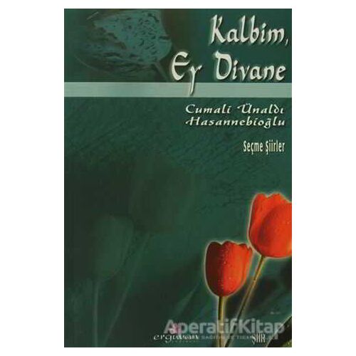 Kalbim, Ey Divane - Cemali Ünaldı Hasannebioğlu - Erguvan Yayınevi