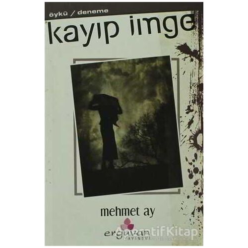 Kayıp İmge - Mehmet Ay - Erguvan Yayınevi