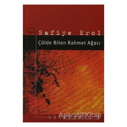 Çölde Biten Rahmet Ağacı - Safiye Erol - Kubbealtı Neşriyatı Yayıncılık