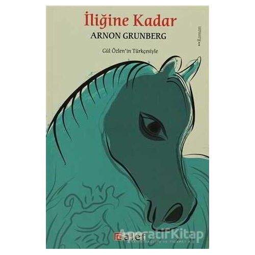 İliğine Kadar - Arnon Grunberg - Alef Yayınevi