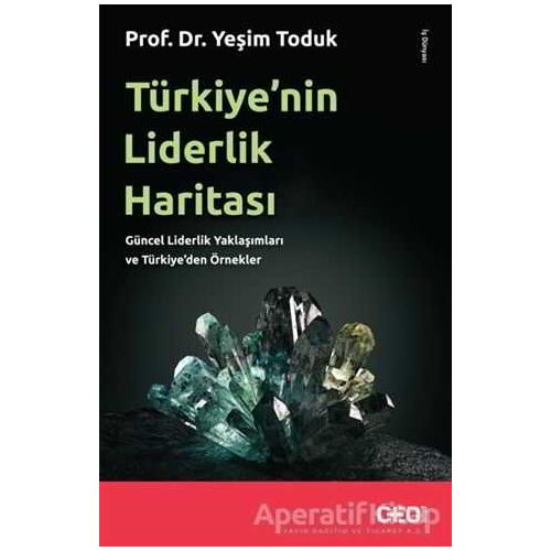 Türkiye’nin Liderlik Haritası - Yeşim Toduk - CEO Plus