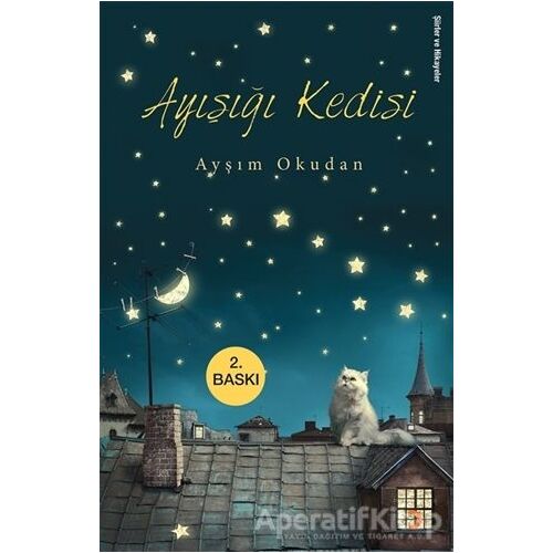 Ayışığı Kedisi - Ayşım Okudan - Cinius Yayınları