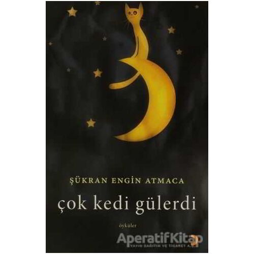 Çok Kedi Gülerdi - Şükran Engin Atmaca - Cinius Yayınları