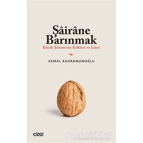 Şairane Barınmak (Klasik Şiirimizin Kökleri ve İzleri)