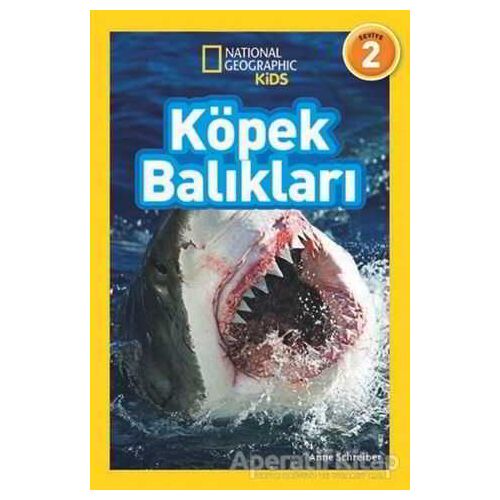Köpek Balıkları (Seviye 2) - Anne Schreiber - Beta Kids