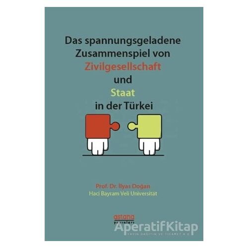 Das Spannungsgeladene Zusammenspiel von Zivilgesellschaft und Staat in der Türkei
