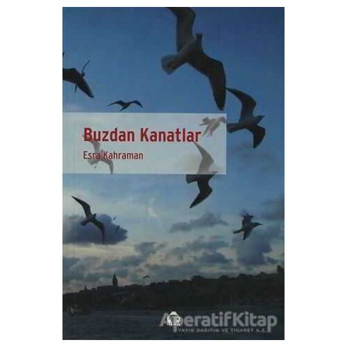 Buzdan Kanatlar - Esra Kahraman - Alan Yayıncılık