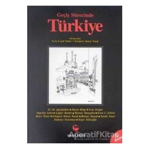 Geçiş Sürecinde Türkiye - Irvin Cemil Schick - Belge Yayınları