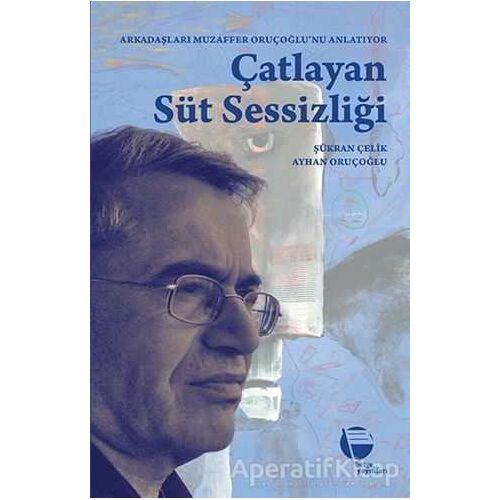 Çatlayan Süt Sessizliği - Şükran Çelik - Belge Yayınları