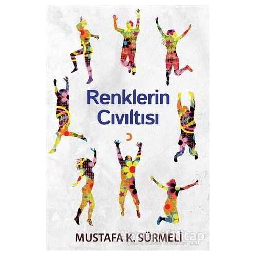 Renklerin Cıvıltısı - Mustafa K. Sürmeli - Cinius Yayınları
