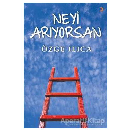 Neyi Arıyorsan - Özge Ilıca - Cinius Yayınları