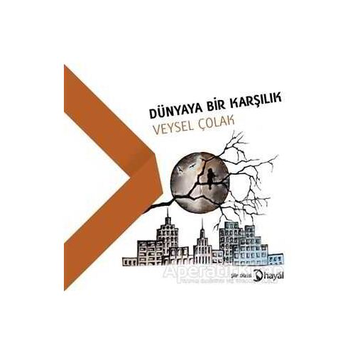 Dünyaya Bir Karşılık - Veysel Çolak - Hayal Yayınları