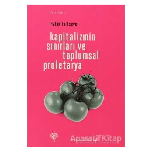 Kapitalizmin Sınırları ve Toplumsal Proletarya - Haluk Yurtsever - Yordam Kitap