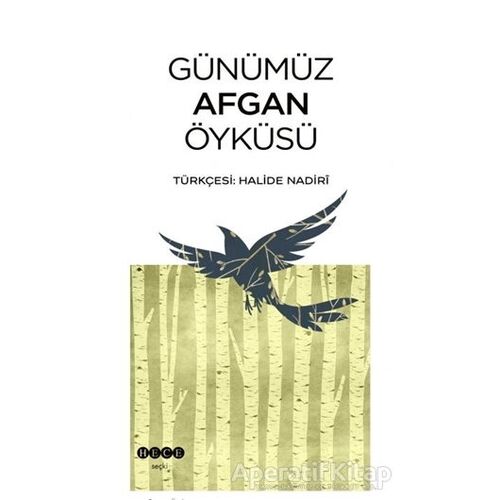 Günümüz Afgan Öyküsü - Kolektif - Hece Yayınları
