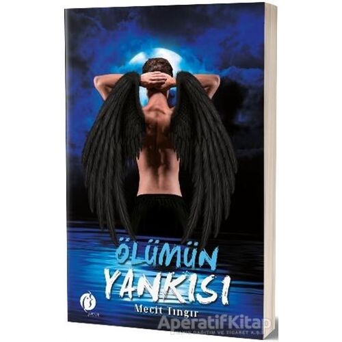Ölümün Yankısı - Mecit Tıngır - Herdem Kitap