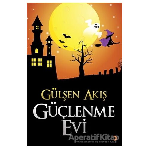 Güçlenme Evi - Gülşen Akış - Cinius Yayınları