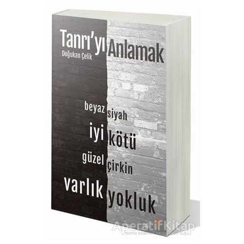 Tanrı’yı Anlamak - Doğukan Çelik - Cinius Yayınları