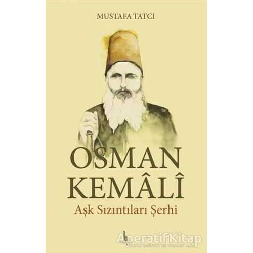Osman Kemali Aşk Sızıntıları Şerhi - Mustafa Tatcı - H Yayınları
