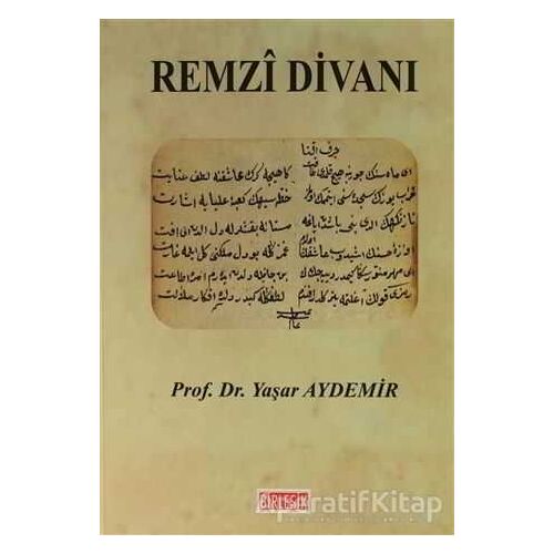 Remzi Divanı - Yaşar Aydemir - Birleşik Yayınevi