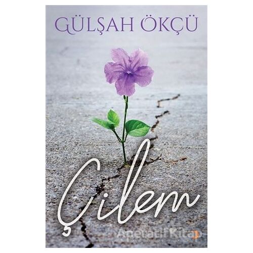 Çilem - Gülşah Ökçü - Cinius Yayınları