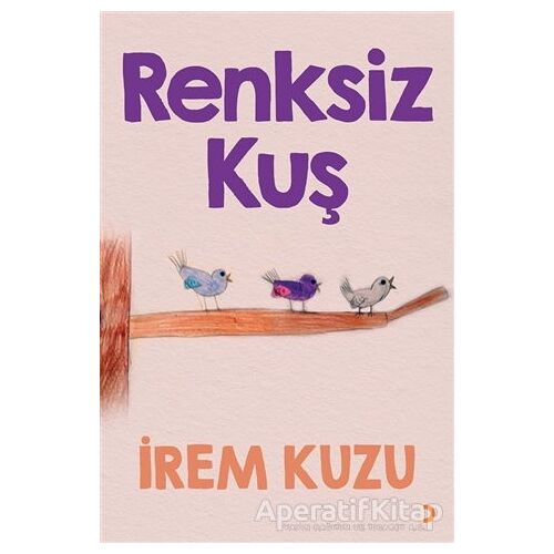 Renksiz Kuş - İrem Kuzu - Cinius Yayınları