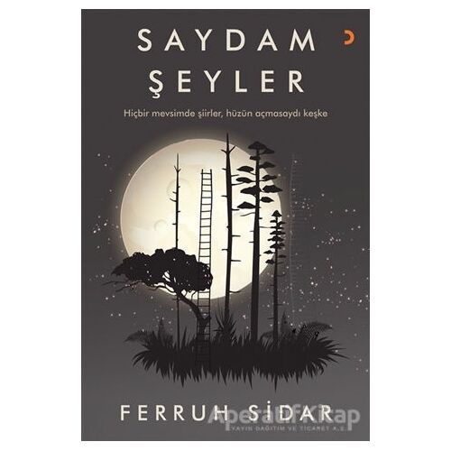 Saydam Şeyler - Ferruh Sidar - Cinius Yayınları