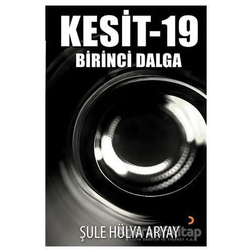 Kesit-19 - Şule Hülya Aryay - Cinius Yayınları