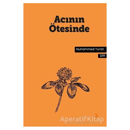 Acının Ötesinde - Muhammed Turan - Cinius Yayınları
