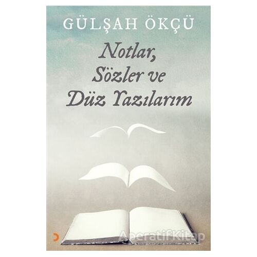 Notlar, Sözler ve Düz Yazılarım - Gülşah Ökçü - Cinius Yayınları