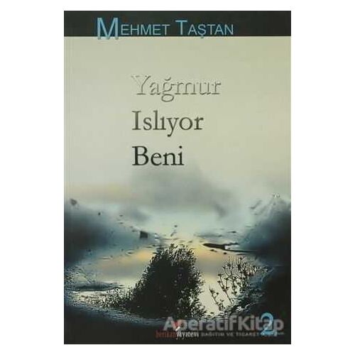 Yağmur Islıyor Beni - Mehmet Taştan - Berikan Yayınevi