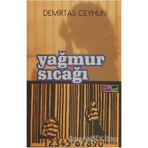 Yağmur Sıcağı - Demirtaş Ceyhun - Broy Yayınları