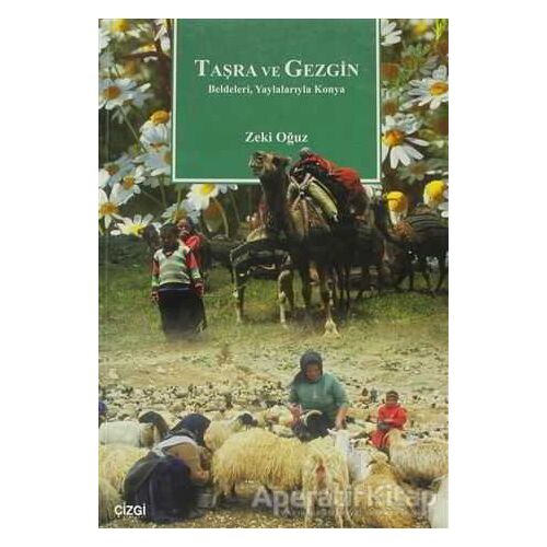 Taşra ve Gezgin - Zeki Oğuz - Çizgi Kitabevi Yayınları
