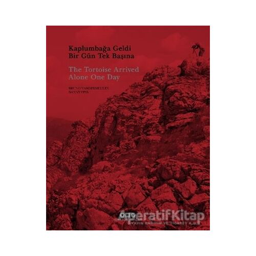 Kaplumbağa Geldi Bir Gün Tek Başına - Judith Desmyttere - Yapı Kredi Yayınları