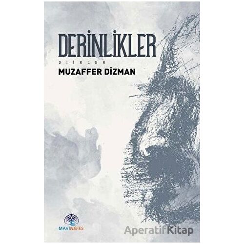 Derinlikler - Muzaffer Dizman - Mavi Nefes Yayınları