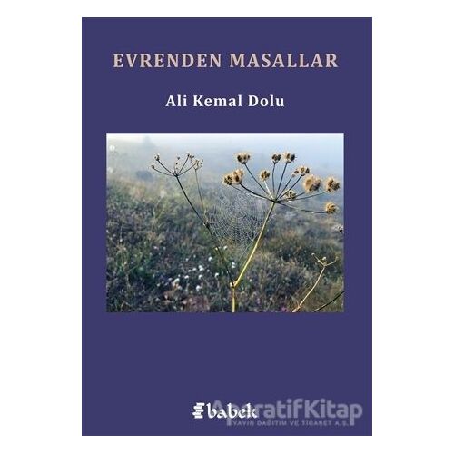 Evrenden Masallar - Ali Kemal Dolu - Babek Yayınları