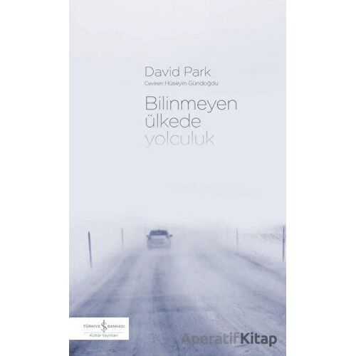 Bilinmeyen Ülkede Yolculuk - David Park - İş Bankası Kültür Yayınları