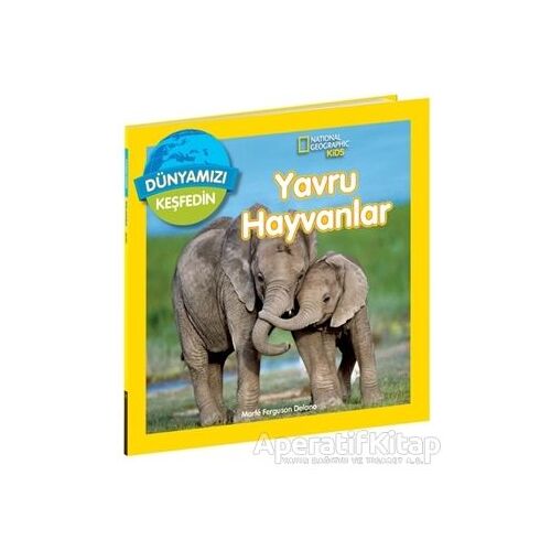 National Geographic Kids Dünyamızı Keşfedin - Yavru Hayvanlar - Marfe Ferguson Delano - Beta Kids