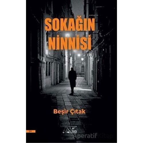 Sokağın Ninnisi - Beşir Çıtak - Kuytu Yayınları