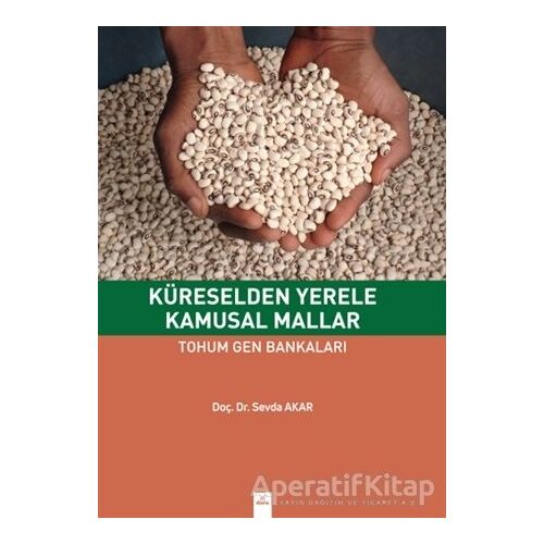 Küreselden Yerele Kamusal Mallar - Sevda Akar - Dora Basım Yayın