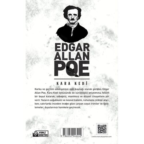 Kara Kedi - Edgar Allan Poe - Maviçatı Yayınları