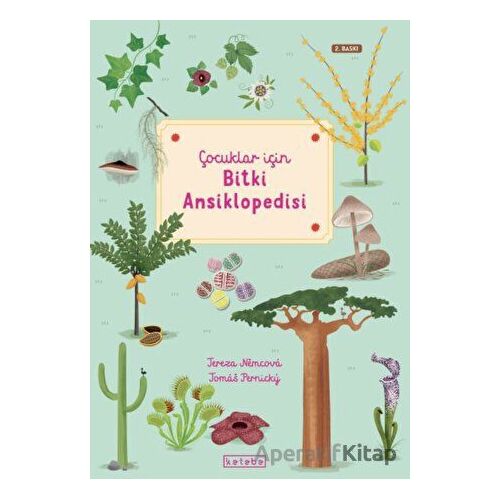 Çocuklar İçin Bitki Ansiklopedisi - Tereza Nemcova - Ketebe Çocuk