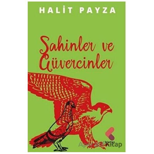 Şahinler ve Güvercinler - Halit Payza - Klaros Yayınları