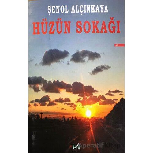 Hüzün Sokağı (Şömizli) - Şenol Alçınkaya - İzan Yayıncılık