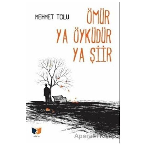 Ömür Ya Öyküdür Ya Şiir - Mehmet Tolu - Ateş Yayınları