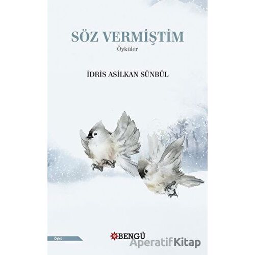 Söz Vermiştim - İdris Asilkan Sünbül - Bengü Yayınları