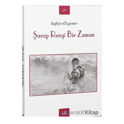Şarap Rengi Bir Zaman - Safiye Özşener - İzan Yayıncılık