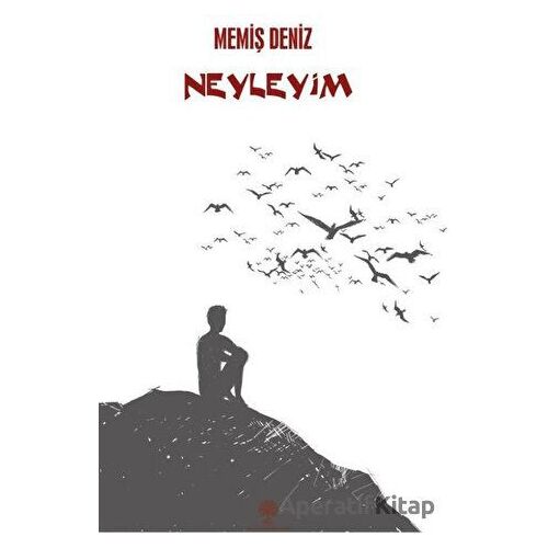 Neyleyim - Memiş Deniz - Platanus Publishing