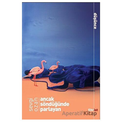 Ancak Söndüğünde Parlayan - Sevgi Ozan - Fihrist Kitap