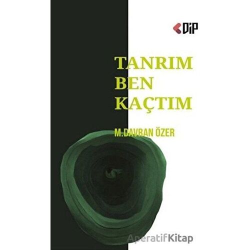 Tanrım Ben Kaçtım - M. Davran Özer - Klaros Yayınları