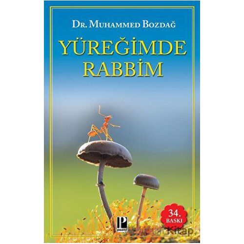 Yüreğimde Rabbim - Muhammed Bozdağ - Pozitif Yayınları